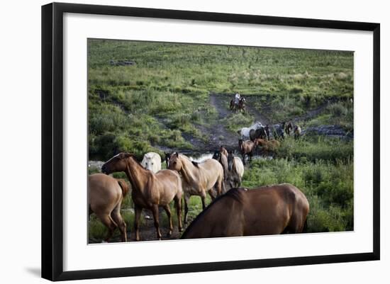 Gaucho with Horses at Estancia Los Potreros, Cordoba Province, Argentina, South America-Yadid Levy-Framed Photographic Print