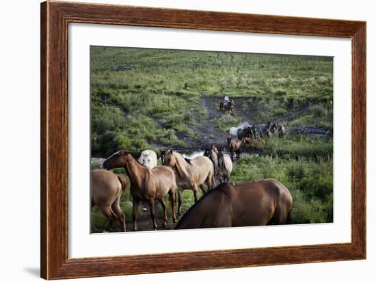 Gaucho with Horses at Estancia Los Potreros, Cordoba Province, Argentina, South America-Yadid Levy-Framed Photographic Print