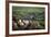 Gaucho with Horses at Estancia Los Potreros, Cordoba Province, Argentina, South America-Yadid Levy-Framed Photographic Print