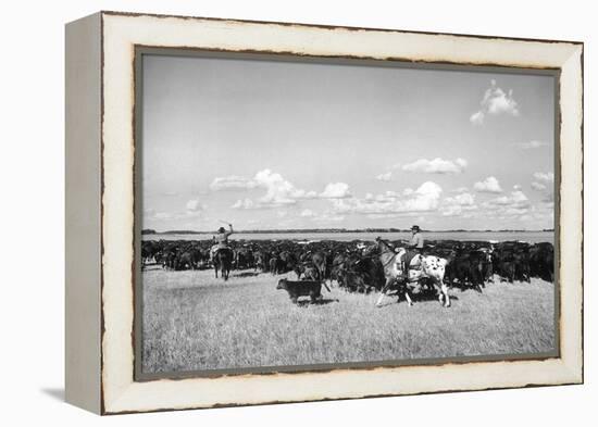 Gauchos at Work-Mario de Biasi-Framed Premier Image Canvas