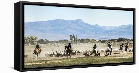 Gauchos Riding Horses to Round Up Sheep, El Chalten, Patagonia, Argentina, South America-Matthew Williams-Ellis-Framed Premier Image Canvas