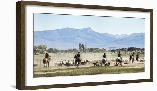 Gauchos Riding Horses to Round Up Sheep, El Chalten, Patagonia, Argentina, South America-Matthew Williams-Ellis-Framed Photographic Print