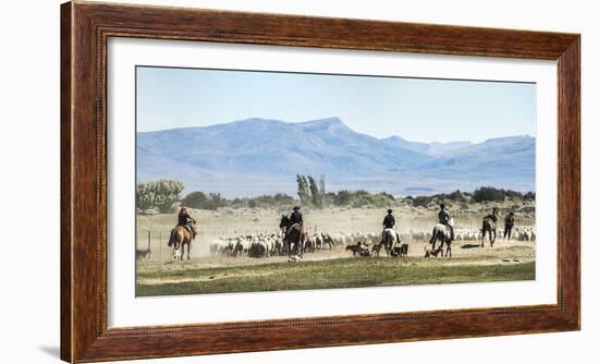 Gauchos Riding Horses to Round Up Sheep, El Chalten, Patagonia, Argentina, South America-Matthew Williams-Ellis-Framed Photographic Print