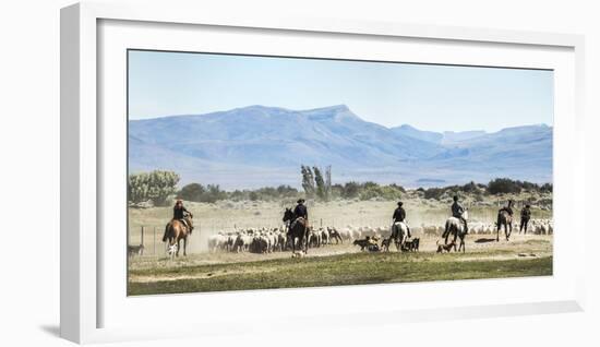 Gauchos Riding Horses to Round Up Sheep, El Chalten, Patagonia, Argentina, South America-Matthew Williams-Ellis-Framed Photographic Print