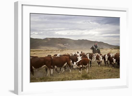 Gauchos with Cattle at the Huechahue Estancia, Patagonia, Argentina, South America-Yadid Levy-Framed Photographic Print