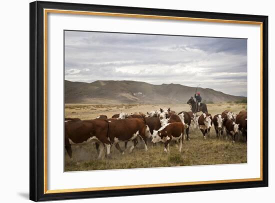 Gauchos with Cattle at the Huechahue Estancia, Patagonia, Argentina, South America-Yadid Levy-Framed Photographic Print