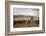 Gauchos with Cattle at the Huechahue Estancia, Patagonia, Argentina, South America-Yadid Levy-Framed Photographic Print