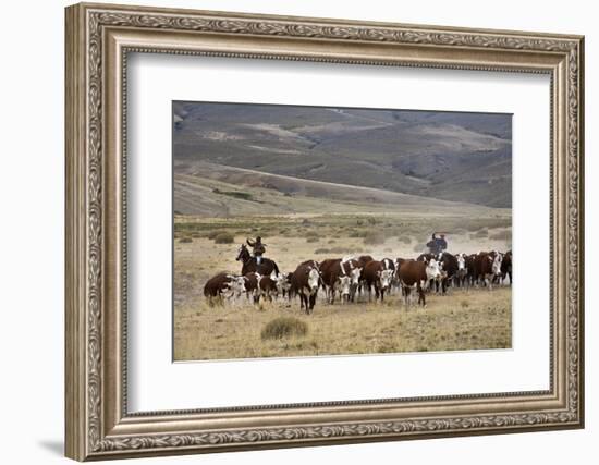 Gauchos with Cattle at the Huechahue Estancia, Patagonia, Argentina, South America-Yadid Levy-Framed Photographic Print