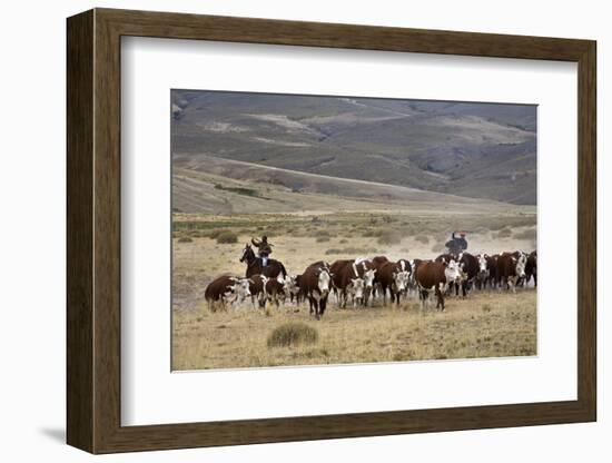 Gauchos with Cattle at the Huechahue Estancia, Patagonia, Argentina, South America-Yadid Levy-Framed Photographic Print