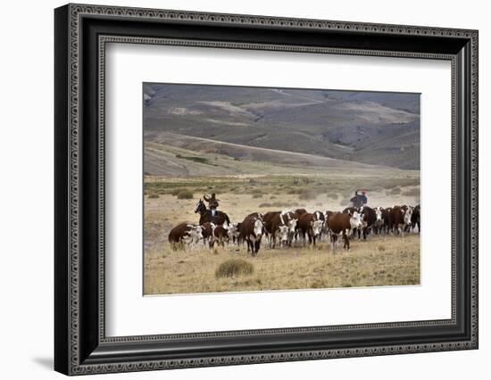 Gauchos with Cattle at the Huechahue Estancia, Patagonia, Argentina, South America-Yadid Levy-Framed Photographic Print