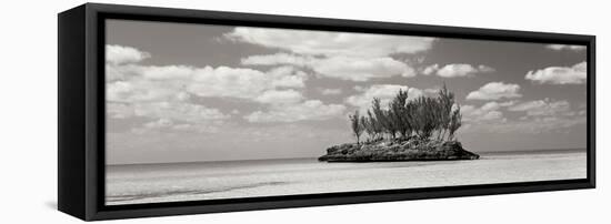 Gaulding Cay Conch BW Panel-Larry Malvin-Framed Premier Image Canvas