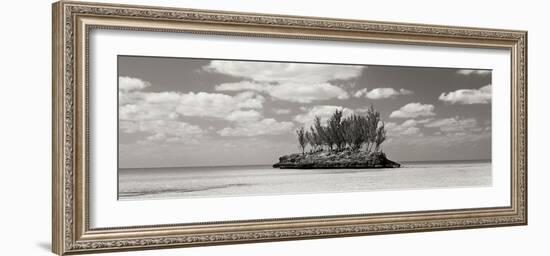 Gaulding Cay Conch BW Panel-Larry Malvin-Framed Photographic Print