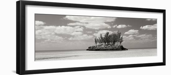 Gaulding Cay Conch BW Panel-Larry Malvin-Framed Photographic Print