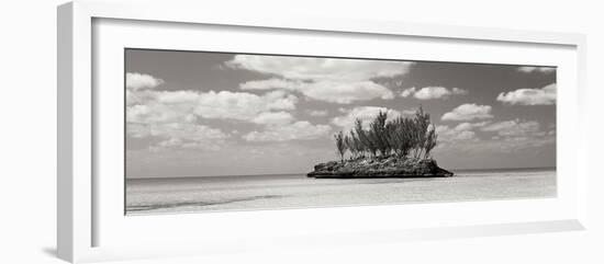 Gaulding Cay Conch BW Panel-Larry Malvin-Framed Photographic Print