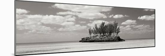 Gaulding Cay Conch BW Panel-Larry Malvin-Mounted Photographic Print