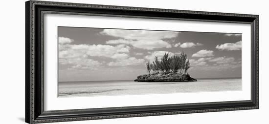 Gaulding Cay Conch BW Panel-Larry Malvin-Framed Photographic Print