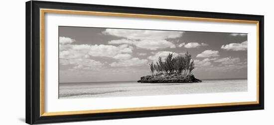 Gaulding Cay Conch BW Panel-Larry Malvin-Framed Photographic Print