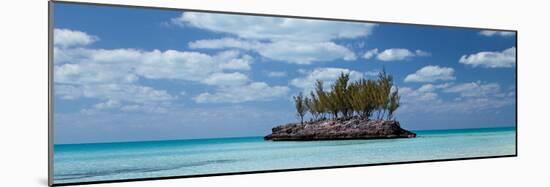 Gaulding Cay Conch Panel-Larry Malvin-Mounted Photographic Print