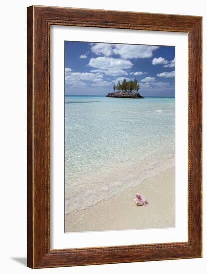 Gaulding Cay Conch-Larry Malvin-Framed Photographic Print