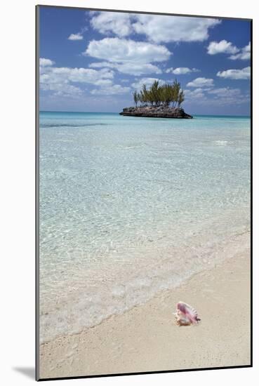 Gaulding Cay Conch-Larry Malvin-Mounted Photographic Print