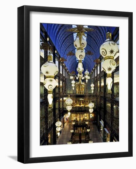 Gaviidae Common, Minneapolis, Minnesota, USA-null-Framed Photographic Print