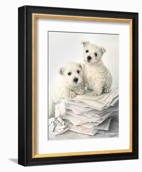 Gavin and Gary-Rachael Hale-Framed Premium Giclee Print