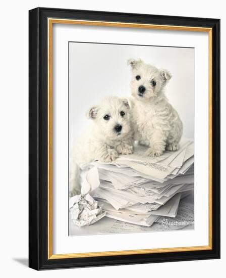 Gavin and Gary-Rachael Hale-Framed Art Print