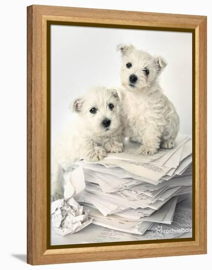 Gavin and Gary-Rachael Hale-Framed Stretched Canvas