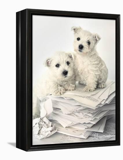 Gavin and Gary-Rachael Hale-Framed Stretched Canvas