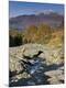 Photographic Print