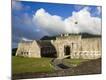 Photographic Print