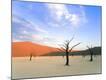 Photographic Print