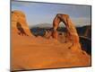 Photographic Print
