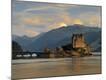 Premium Photographic Print