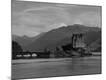 Photographic Print