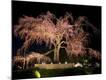 Premium Photographic Print