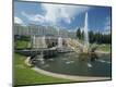 Photographic Print