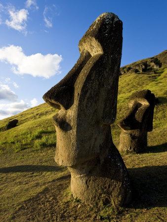 Sus Rock Stone Statue Head