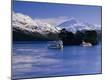 Photographic Print