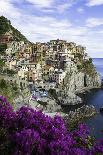 Manarola, Cinque Terre, UNESCO World Heritage Site, Liguria, Italy, Europe-Gavin Hellier-Photographic Print