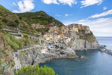 Manarola, Cinque Terre, UNESCO World Heritage Site, Liguria, Italy, Europe-Gavin Hellier-Photographic Print
