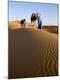 Premium Photographic Print