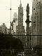 Premium Photographic Print