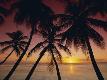 Premium Photographic Print
