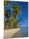 Premium Photographic Print