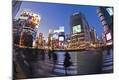 Photographic Print