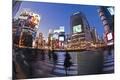 Photographic Print