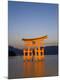 Premium Photographic Print