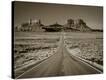Stretched Canvas Print