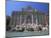 Photographic Print
